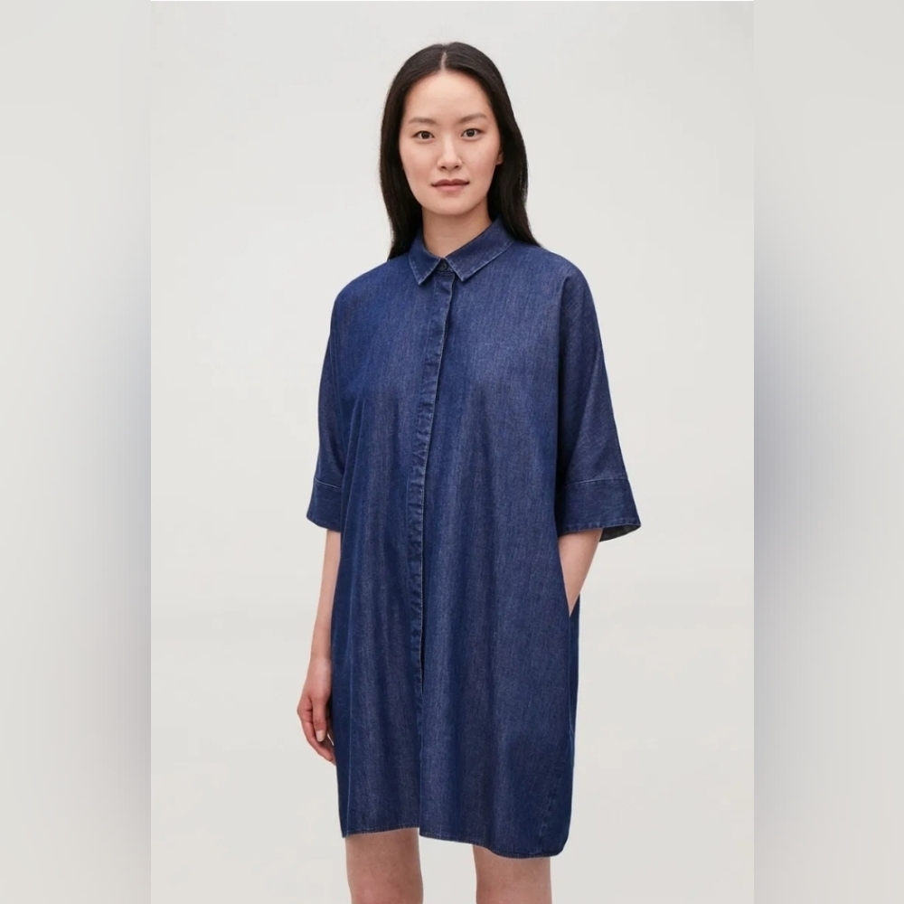 COS Denim Shirt Dress